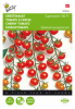 Cherry tomato supersweet