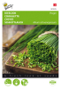 Chives allium schoenoprasum