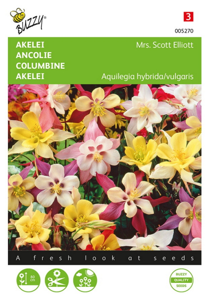 Columbine mrs. scott elliott