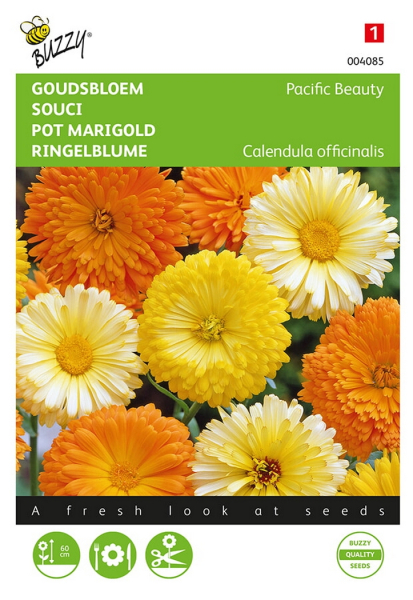 Pot marigold pacific beauty