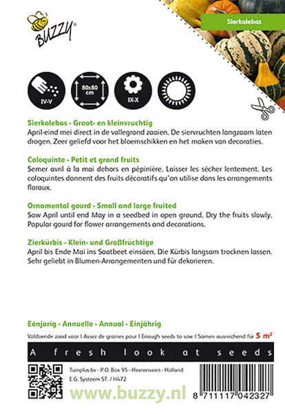 Cucurbita ornamental gourds