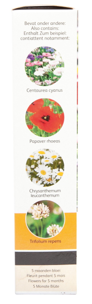 Friendly flowers - roadside mixture