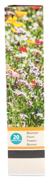 Friendly flowers - roadside mixture