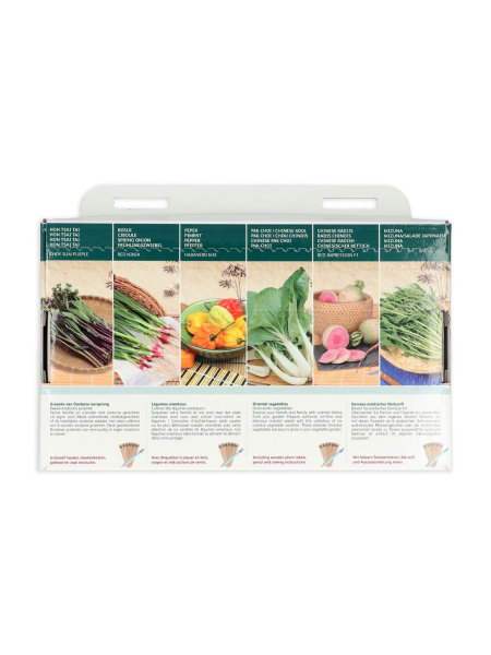 Collection oriental vegetables