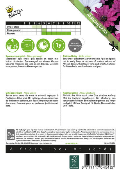African daisy akila mixed