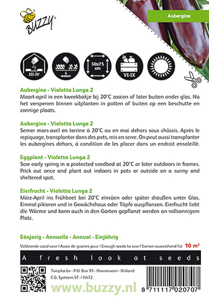 Aubergine violetta lunga 2