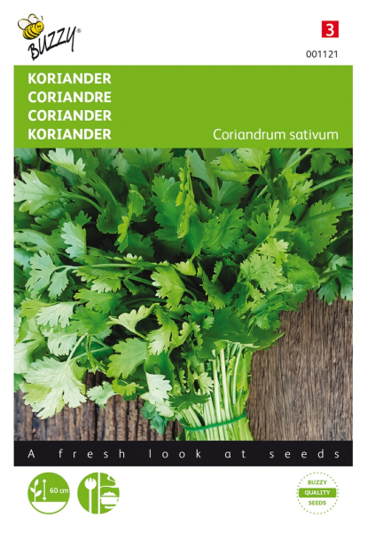 Coriander large seeded