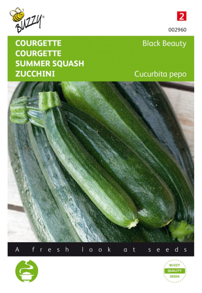 Courgette black beauty