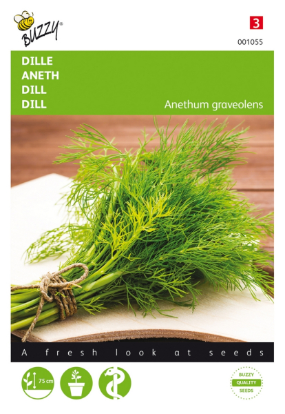Dill (anethum graveolens)