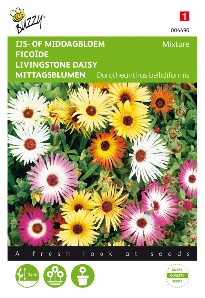 Dorotheanthus bellidiformis mixed
