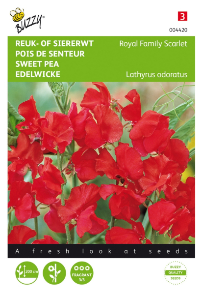 Lathyrus royal family scarlet