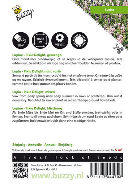 Lupin pixie delight mixed