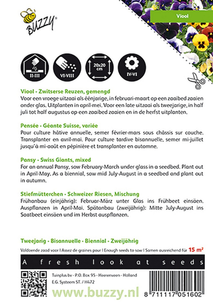 Pansy swiss giants mixed