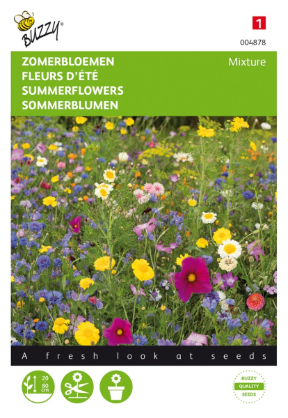 Summer flowers mixed