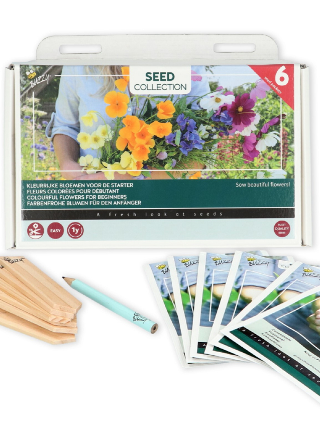 Kollektion blumen für anfänger