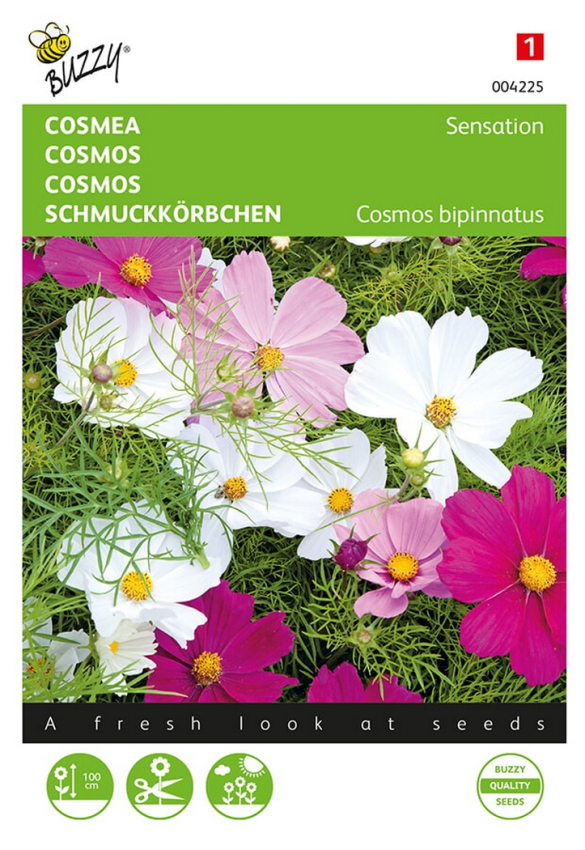 Cosmos sensation mélange