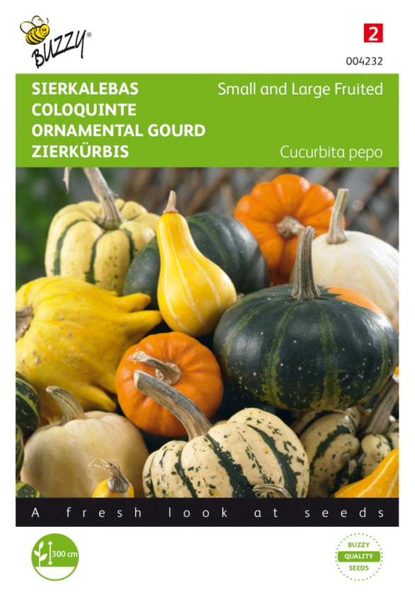 Cucurbita ornamental gourds