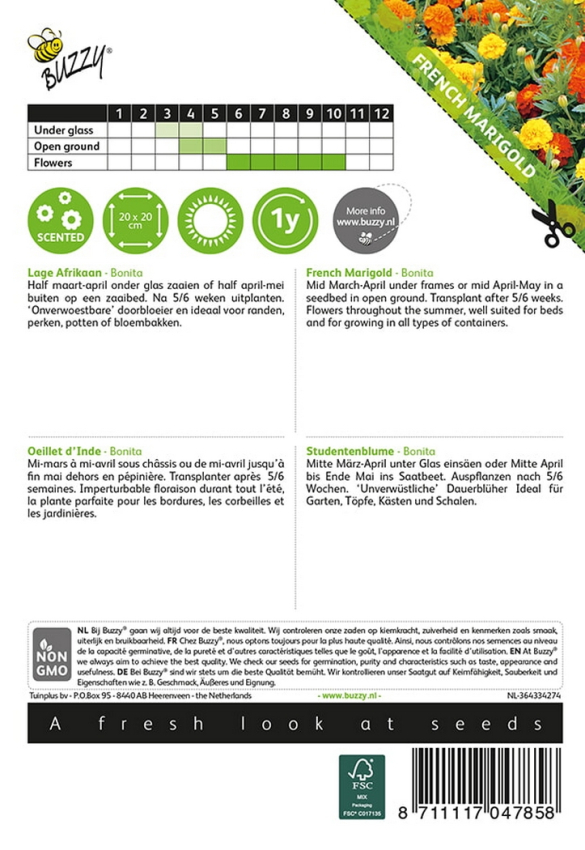 French marigold bonita
