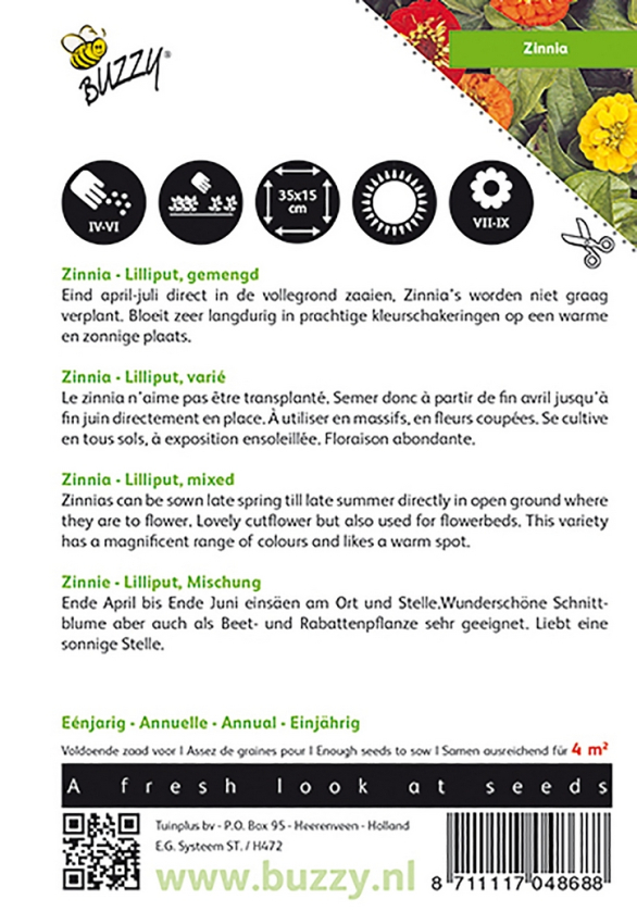 Zinnia lillyput mixed
