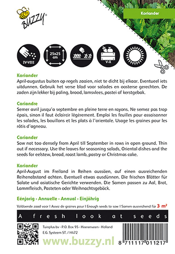 Coriander large seeded