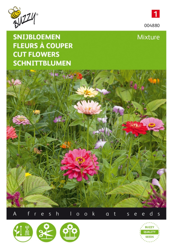 Schnittblumen mischung