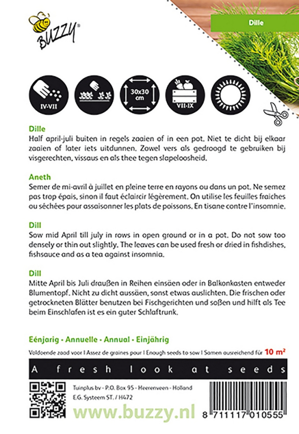 Dill (anethum graveolens)