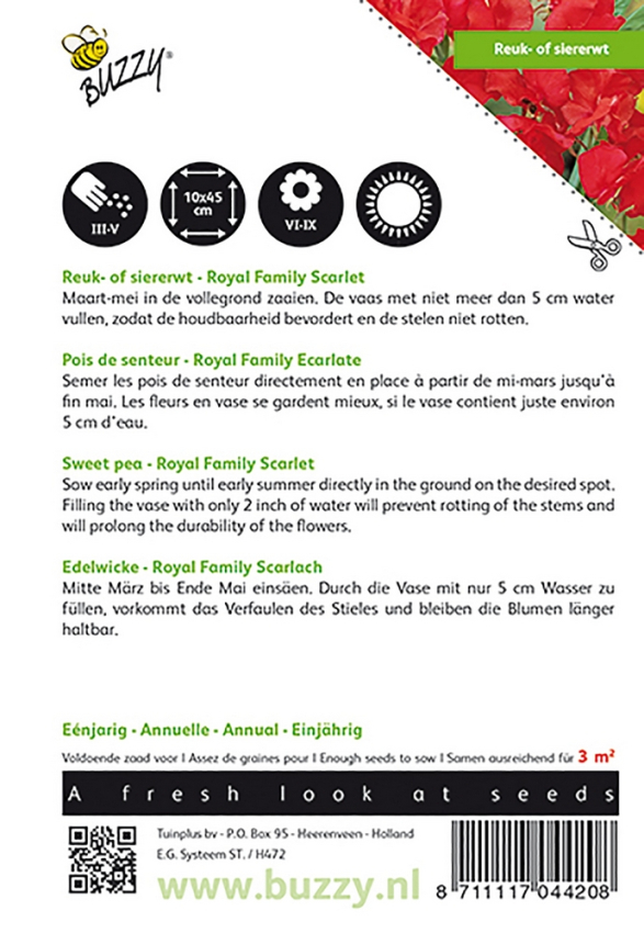 Lathyrus royal family scarlet