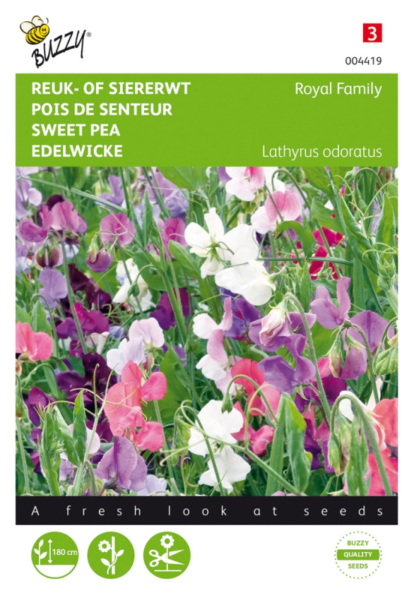 Lathyrus royal family mixed