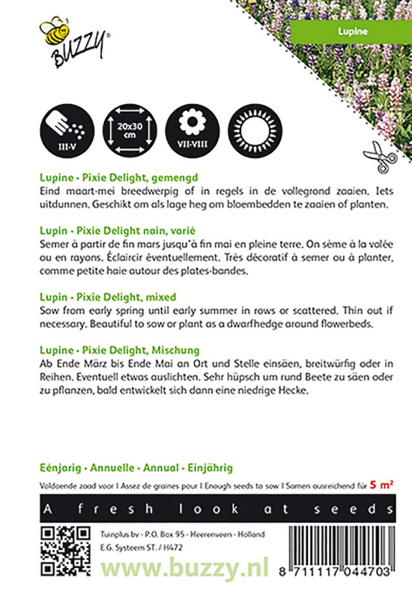 Lupin pixie delight mixed