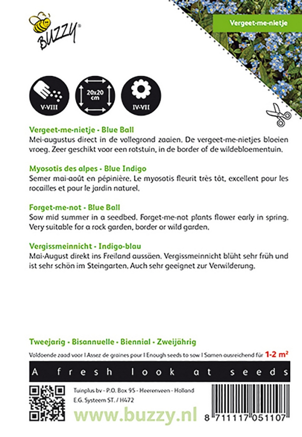 Myosotis, forget-me-not