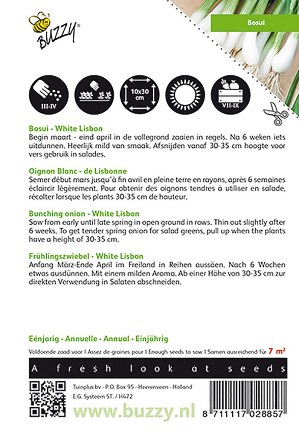 Spring onion white lisbon