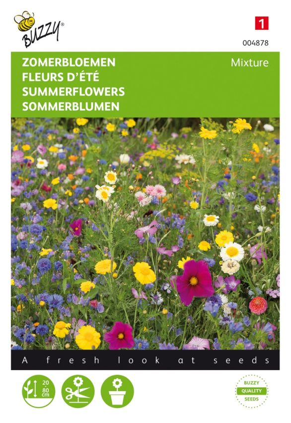 Summer flowers mixed