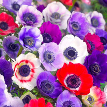 Colourful mixtures